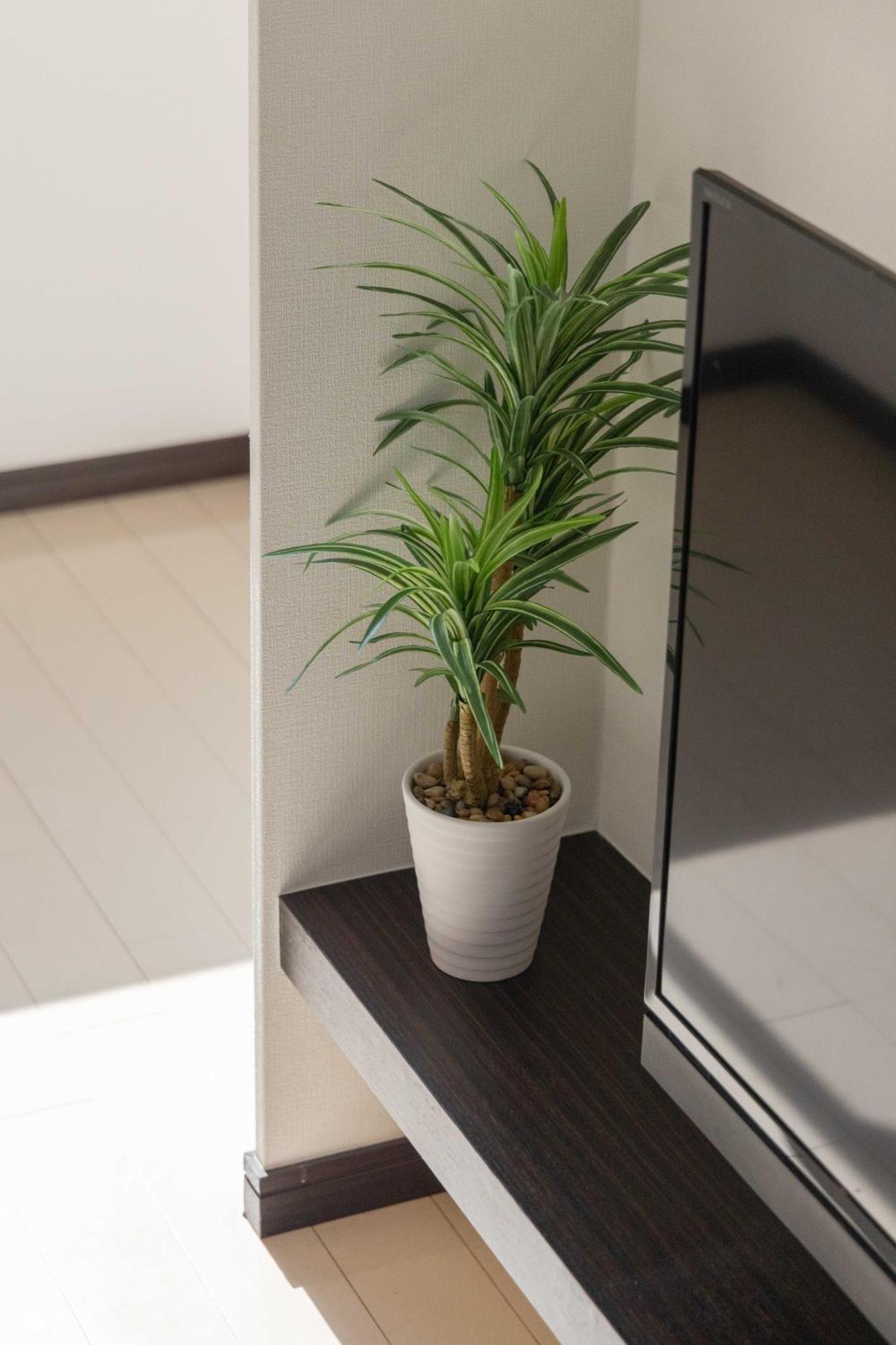 Apartament Skytree View Kinshicho - Self Check-In Only Tokio Zewnętrze zdjęcie