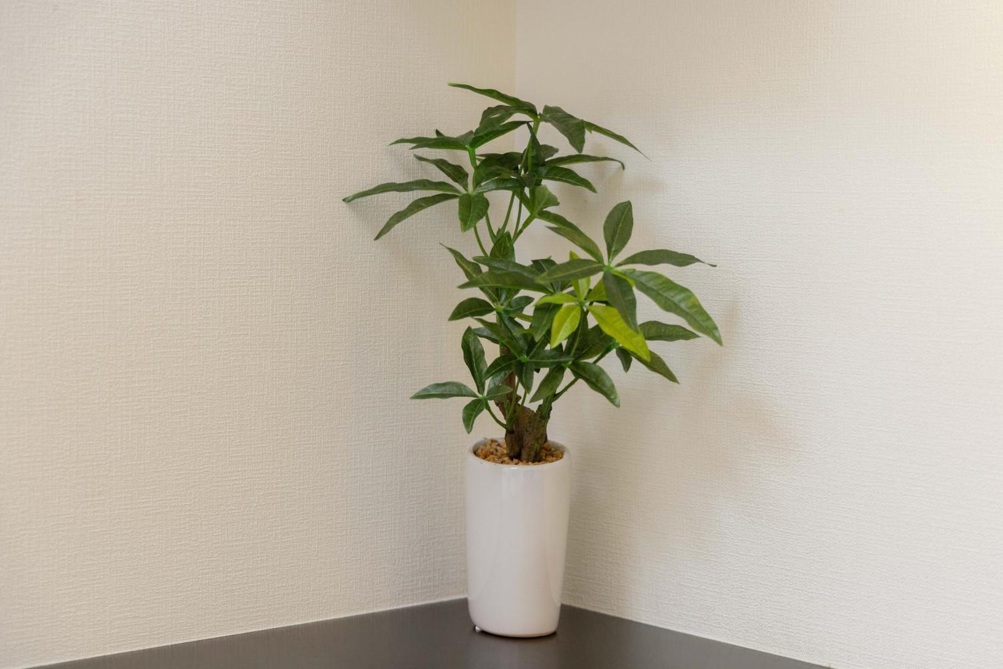 Apartament Skytree View Kinshicho - Self Check-In Only Tokio Zewnętrze zdjęcie